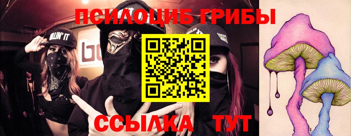 Галлюциногенные грибы ЛСД  Вход с VPN  Камышлов 