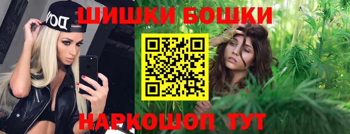 Бошки Шишки гибрид Камышлов